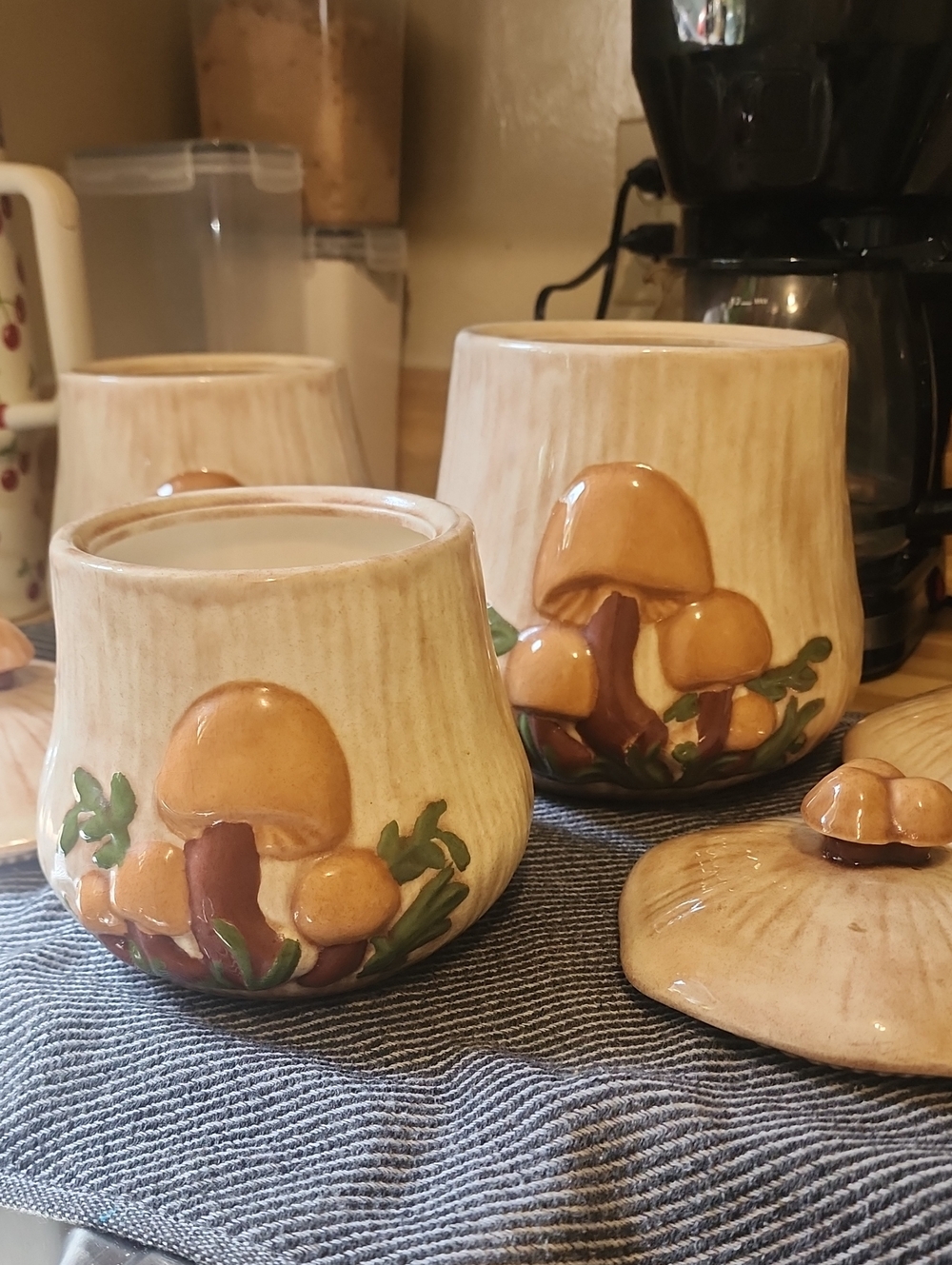 Vintage Mushroom Ceramic Canister Set - Tan and Brown